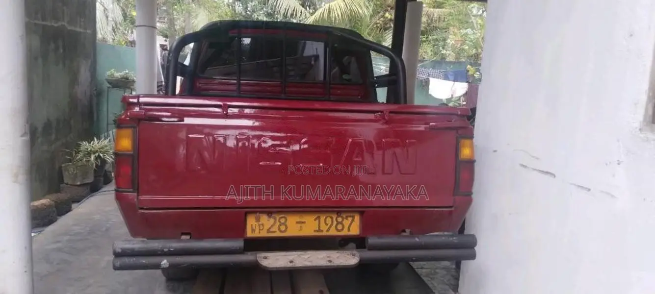 Nissan Datsun 1981 Pickup (Used)