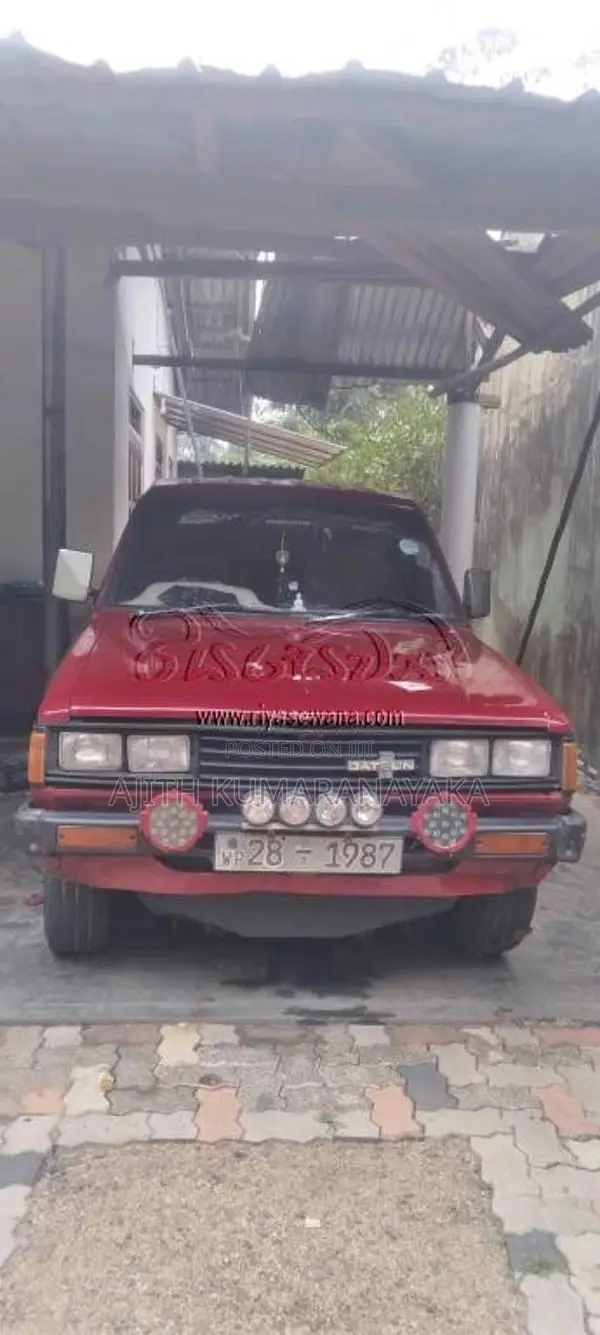 Nissan Datsun 1981 Pickup (Used)