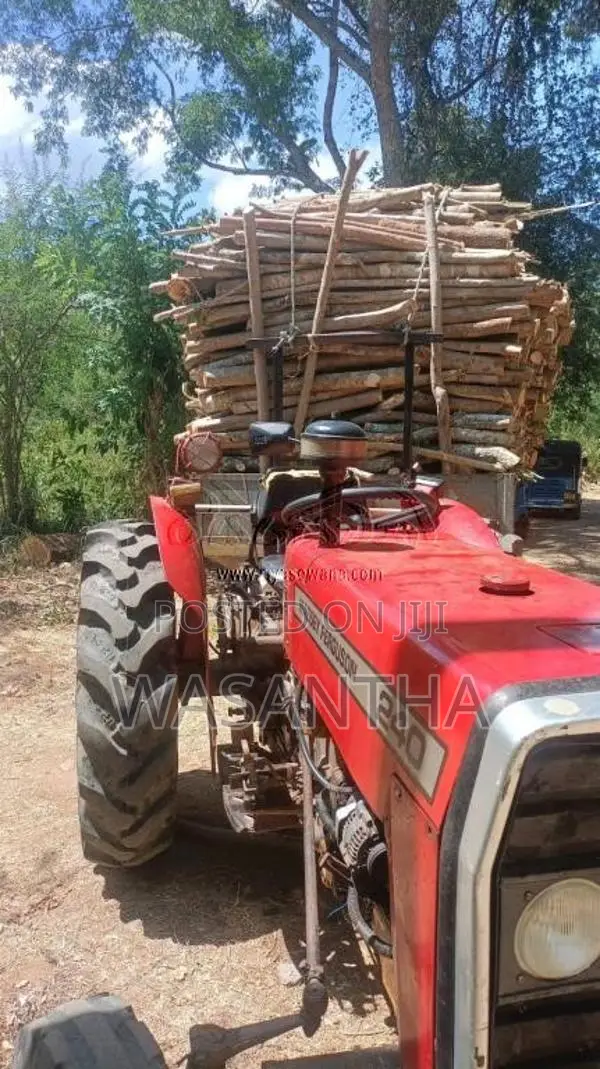 Massey-Ferguson MF 2000 Tractor (Used)