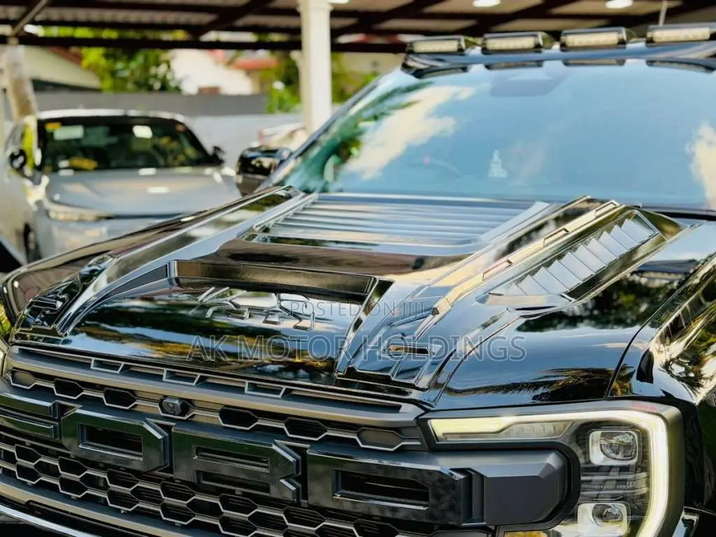 Ford Raptor 2025 Pickup (Used)