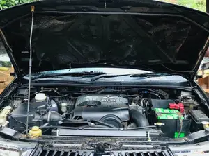 Mitsubishi Warrior 2007 Pickup (Used)