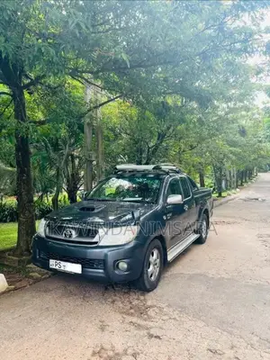Toyota Hilux Vigo 2010 Pickup (Used)