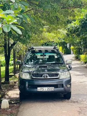 Toyota Hilux Vigo 2010 Pickup (Used)