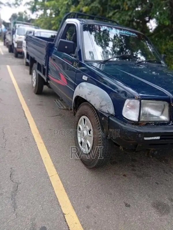 Tata 207 2010 Pickup (Used)