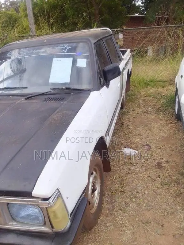 Nissan Datsun 1980 Pickup (Used)