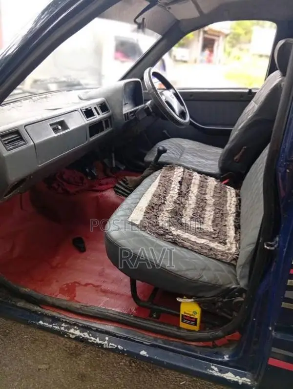 Tata 207 2010 Pickup (Used)
