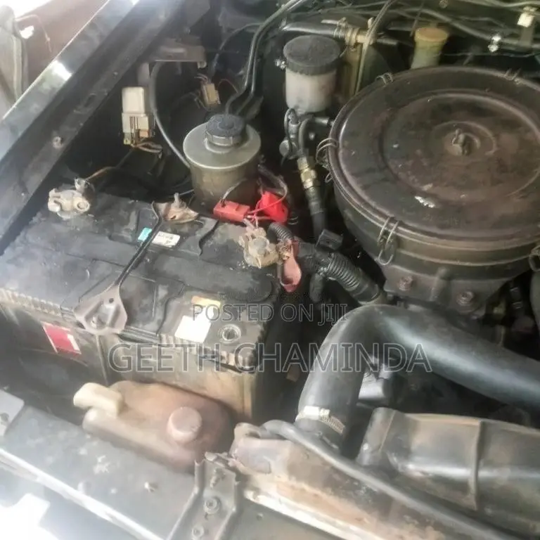 Nissan UBGD21 1995 Pickup (Used)
