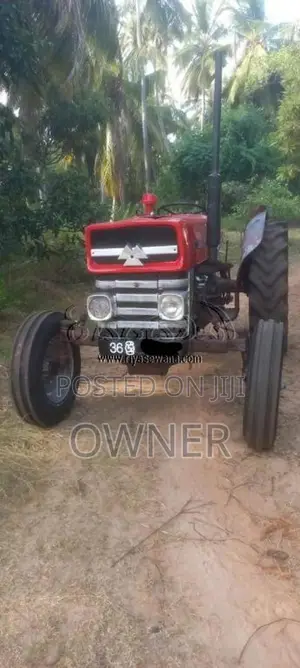 Massey-Ferguson MF135 1980 Tractor (Used)