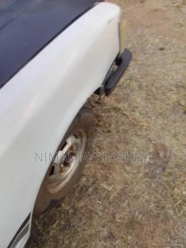 Nissan Datsun 1980 Pickup (Used)