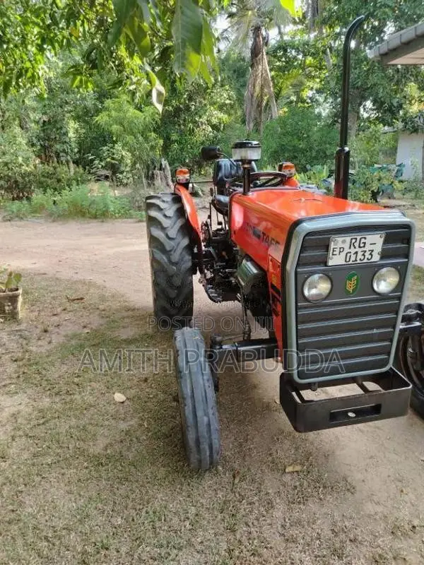 TAFE 45DI 2019 Tractor (Used)
