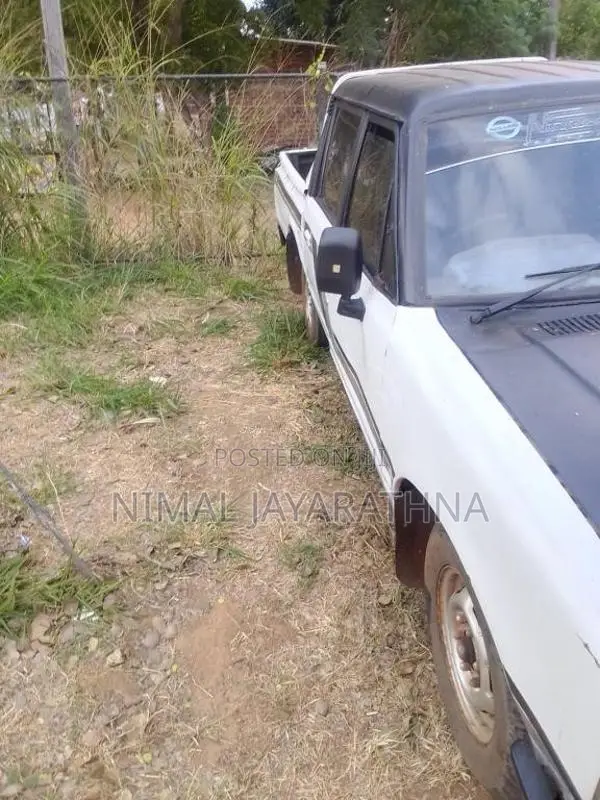 Nissan Datsun 1980 Pickup (Used)