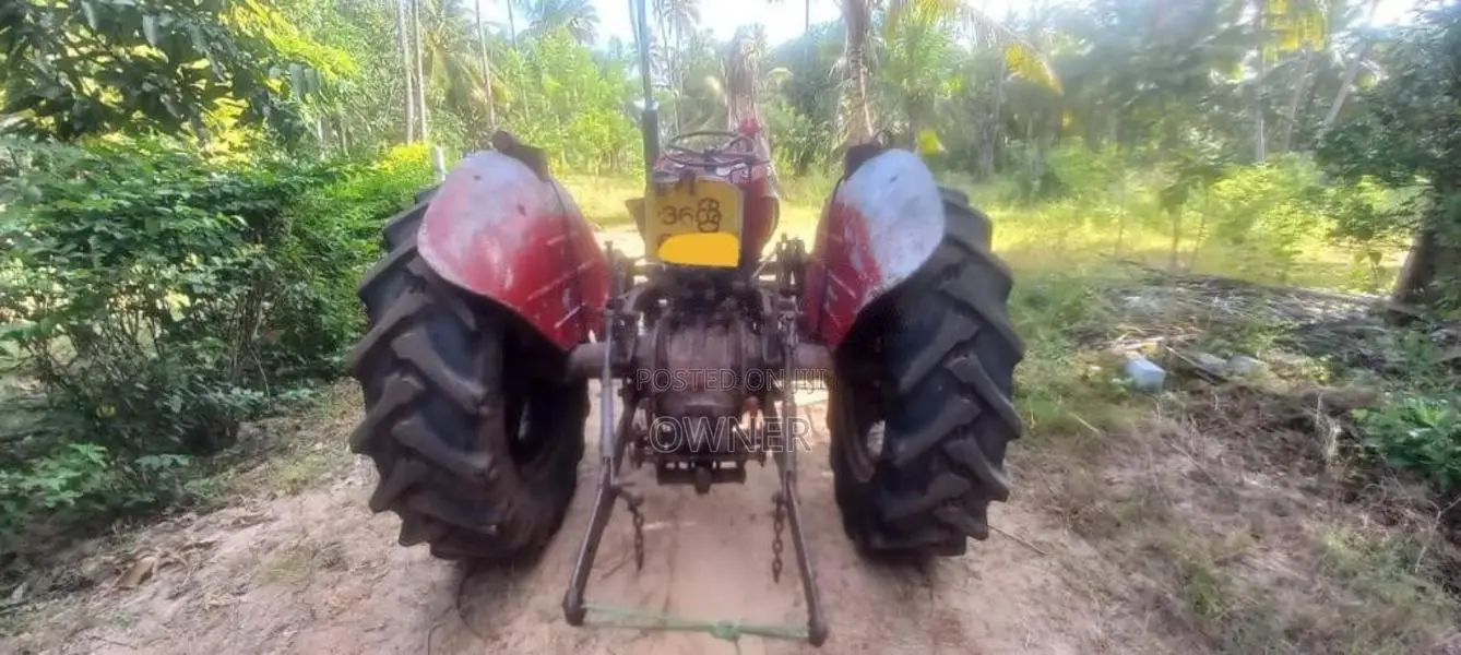 Massey-Ferguson MF135 1980 Tractor (Used)