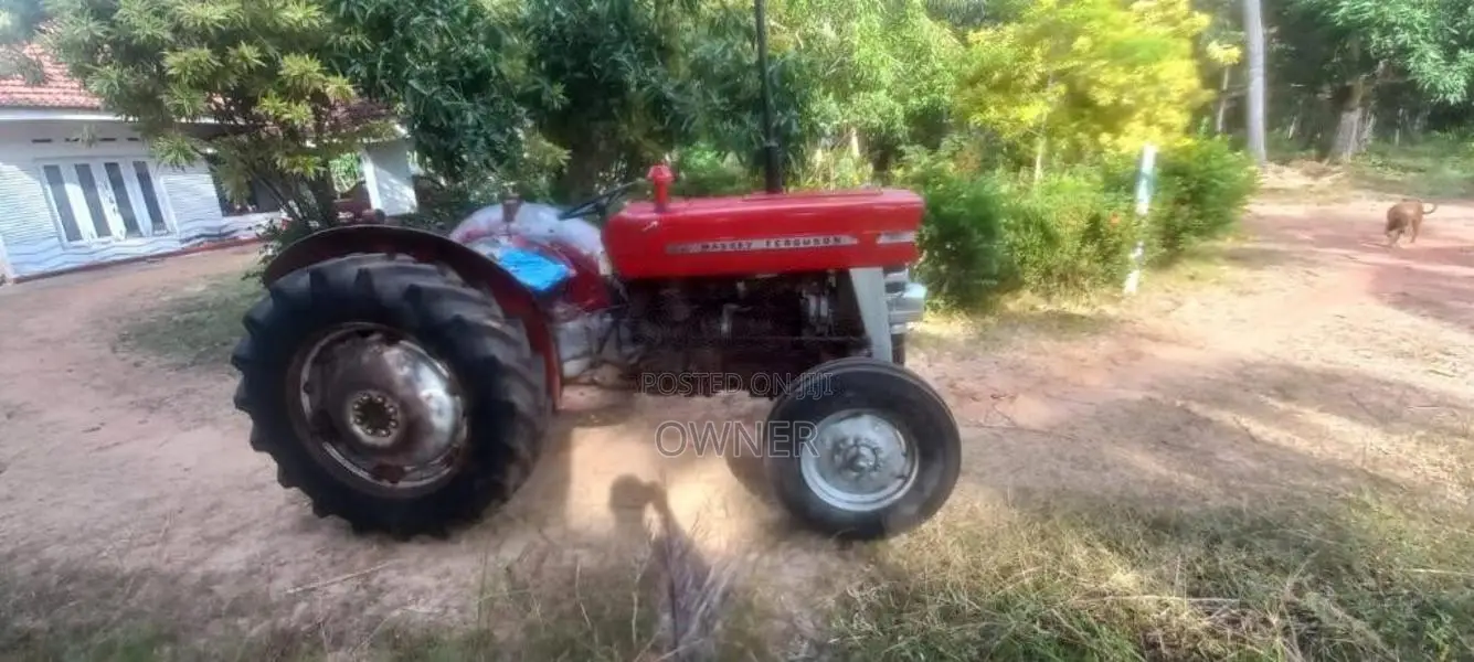 Massey-Ferguson MF135 1980 Tractor (Used)