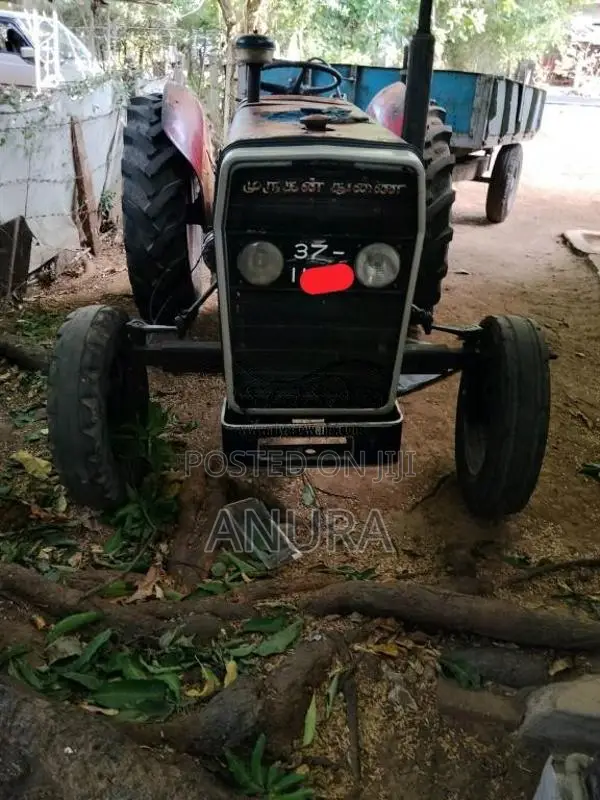 Massey-Ferguson 240 1981 Tractor (Used)