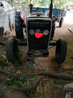 Massey-Ferguson 240 1981 Tractor (Used)