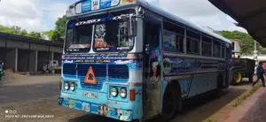 Ashok-Leyland Viking 2004 Bus (Used)