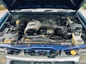 Nissan D22 2003 Pickup (Used)