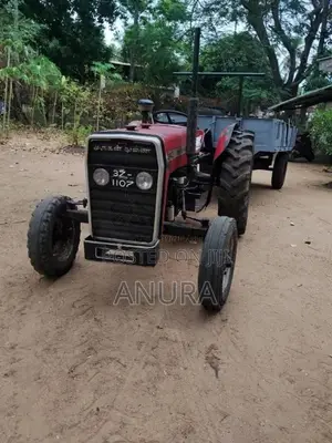Massey-Ferguson 240 1981 Tractor (Used)