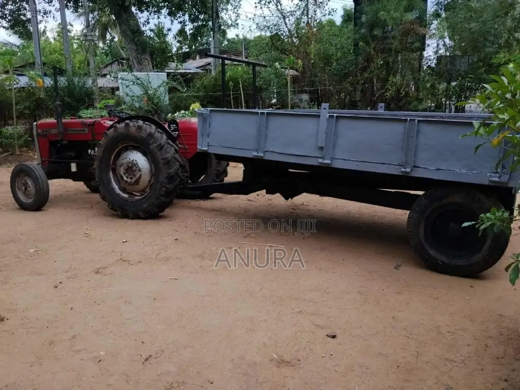 Massey-Ferguson 240 1981 Tractor (Used)
