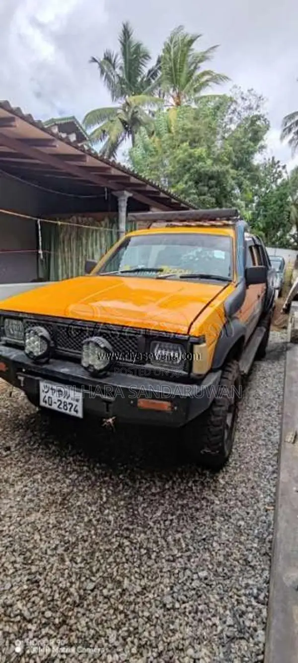 Nissan Datsun 1984 Pickup (Used)