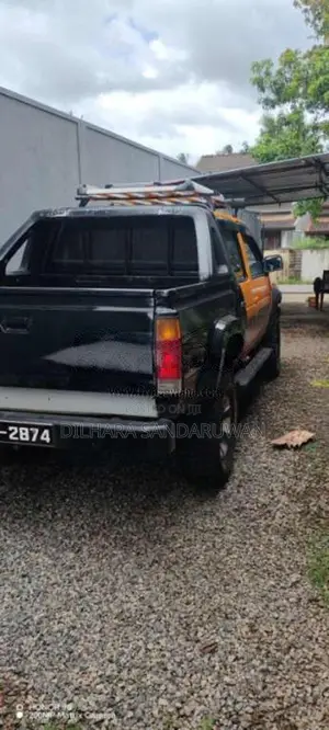 Nissan Datsun 1984 Pickup (Used)