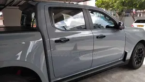 Ford Raptor 2025 Pickup (Used)