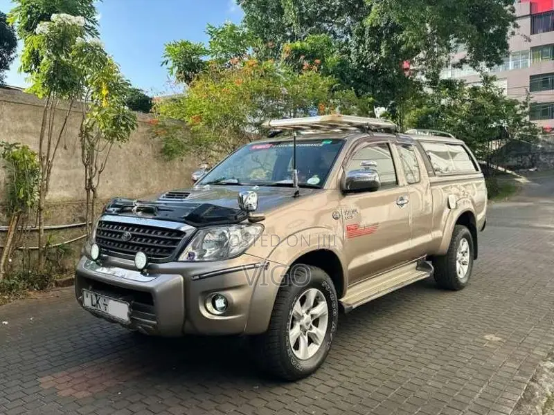 Toyota Hilux Vigo 2010 Pickup (Used)