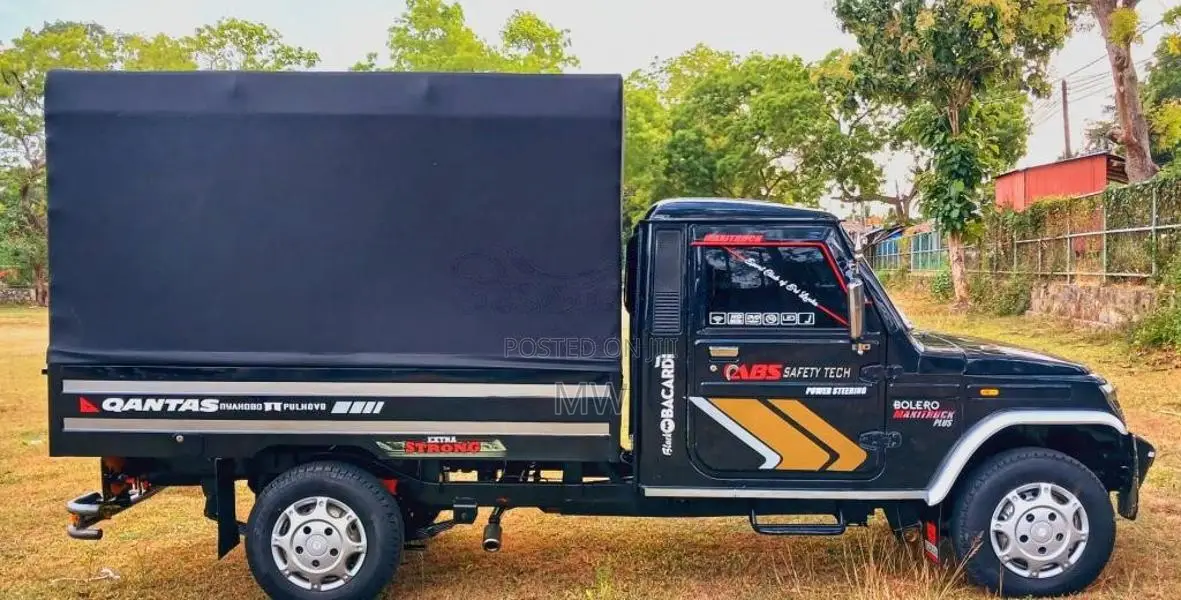 Mahindra Bolero 2019 Pickup (Used)