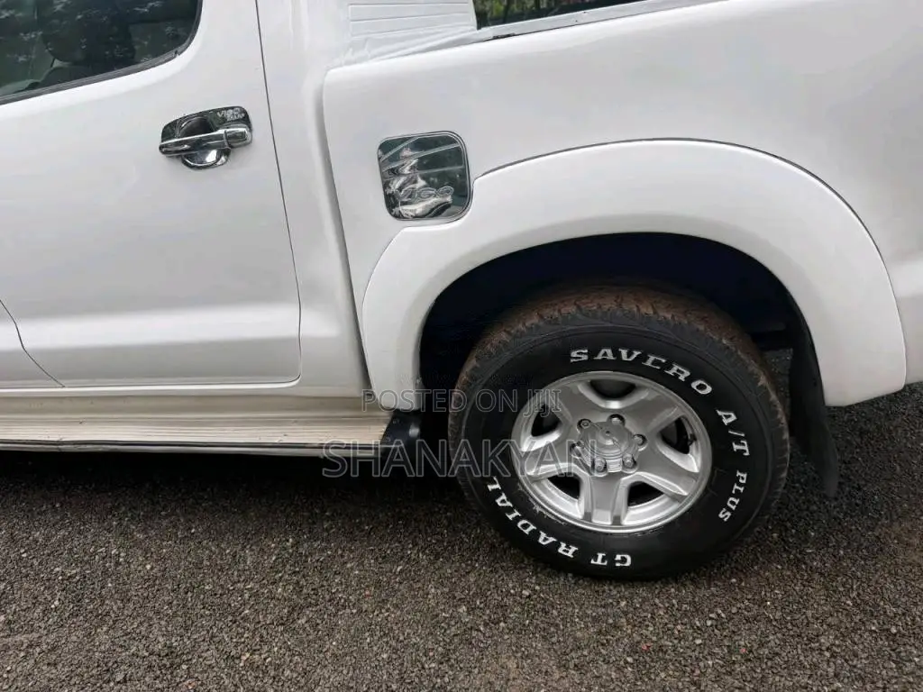 Toyota Hilux Vigo 2006 Pickup (Used)