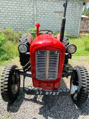 Maserati 533 1985 Tractor (Used)