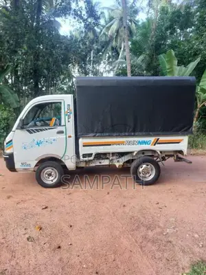 Mahindra Maxximo Plus VX 2015 Lorry (Used)
