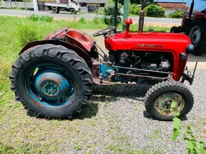 Maserati 533 1985 Tractor (Used)