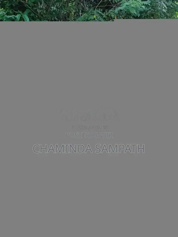 Tata Dimo Batta 2011 Lorry (Used)
