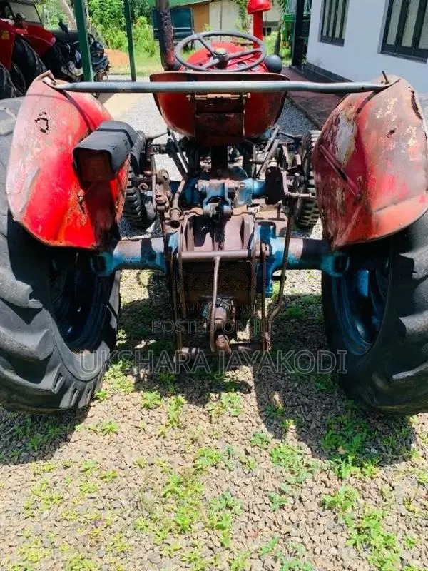Maserati 533 1985 Tractor (Used)