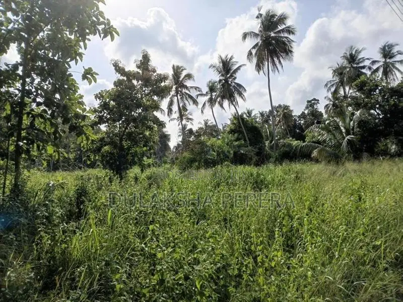 252 Perches Land for Sale Dummalasooriya