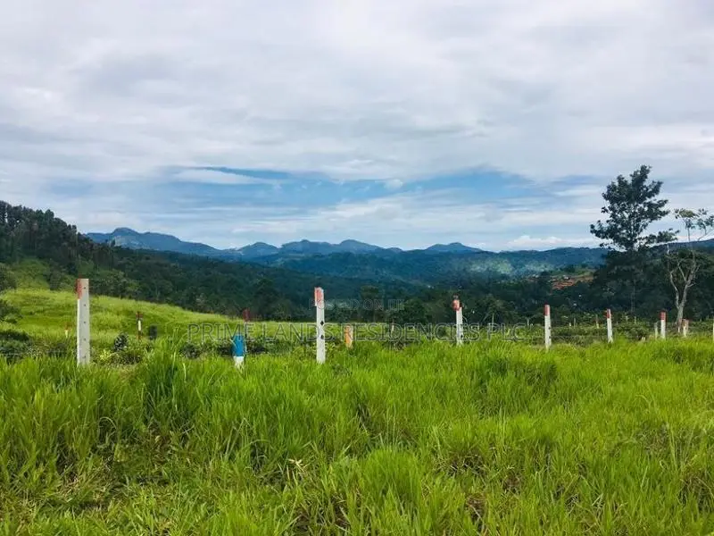 Lands for Sale in Pussellawa
