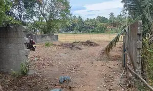 Polgahawela Land for Sale