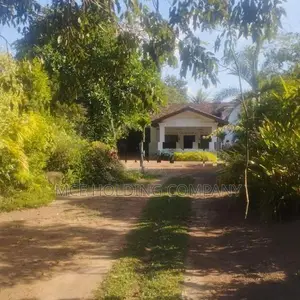 Four bedroom House for rent in Makola South