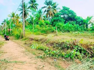 කිරිඳිවැලින් වටිනා පර්චස් 12.5ක් / CH 14639