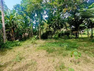 මීරිගම පල්ලෙවෙල පිහිටි පර්චස් 60 ක වටිනා ඉඩම / ST 15004
