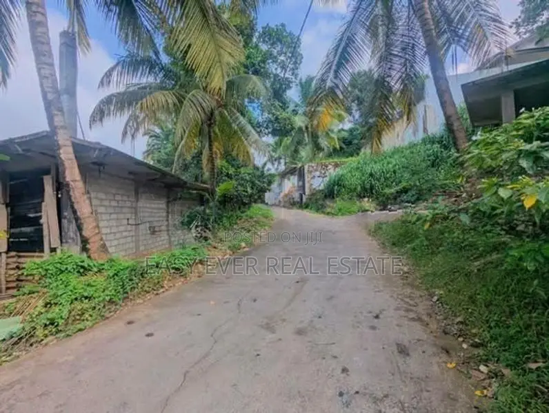 තෝලන්ගමුවෙන් වටිනා බිම් කොටසක් විකිණීමට / AJ 13950