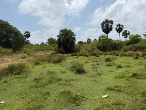 Land for Sale in Kaithady