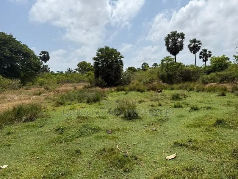 Land for Sale in Kaithady