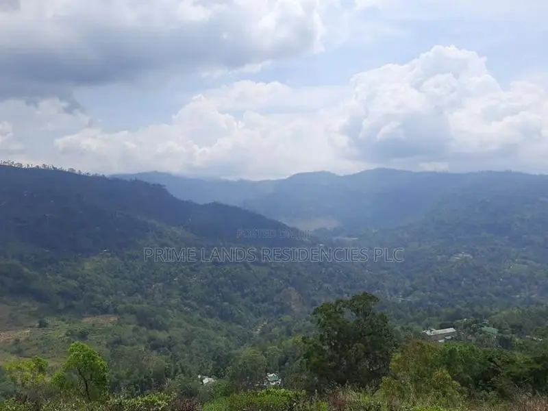 Valuable Land for Sale in Pundaluoya