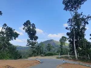 Land for Sale in Nelundeniya