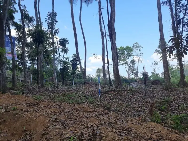 Valuable Land for Sale in Nelundeniya