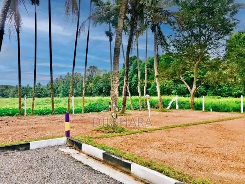 Dikwella Land for Sale