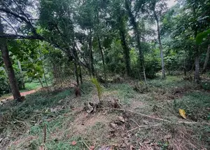 කුරුණෑගල අගනා ඉඩමක් විකිණීමට