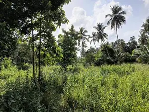 252 Perches Land for Sale Dummalasooriya