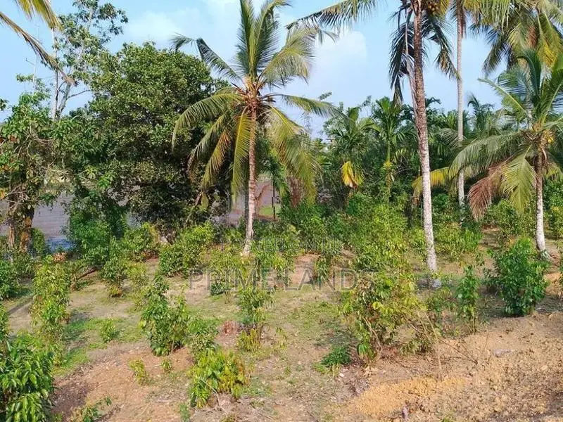Land for Sale Near Hikkaduwa Tourism Area